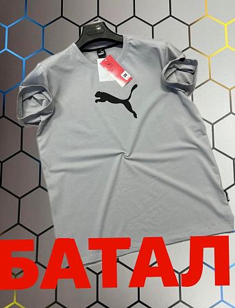 Футболка Alex Clothes 4522 grey - делук