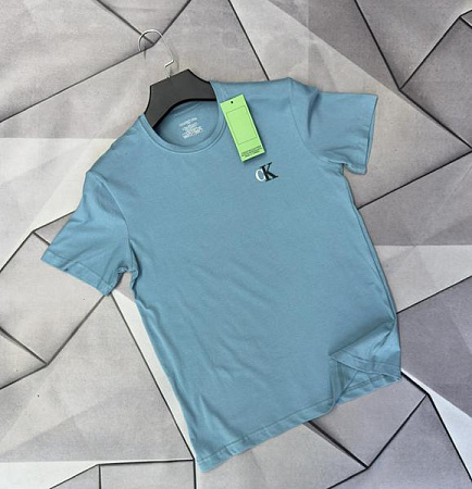 Футболка Rassul 67633 l.blue - делук