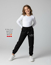 Штаны Спорт Amz D410 black - делук