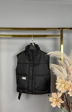 Жилетка Delfinka 639 black - делук