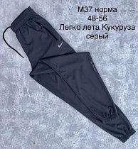 Штаны Спорт Shon M37 grey - делук