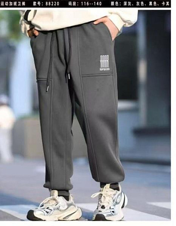 Штаны Спорт Delfinka 88220 grey - делук