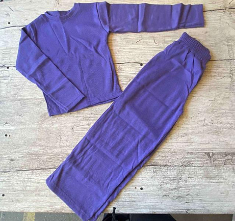 Костюм Спорт Proschenko PR815 lilac - делук