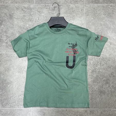 Футболка Fili Kids FK1153 green - делук