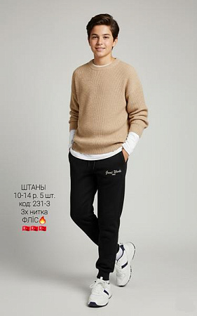 Штаны Спорт Amz 231-3 black-beige - делук