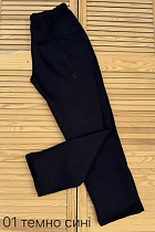 Штаны Спорт Sport Style 01 navy - делук