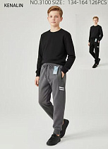 Штаны Спорт Sevim 3100 mix - делук