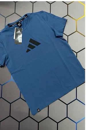 Футболка Alex Clothes 13145 l.blue - делук