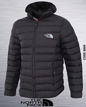 Куртка Azt 8869-4 black - делук