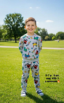 Костюм Спорт Amz M420-1-1 grey - делук