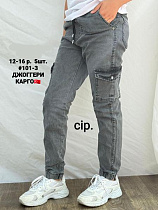 Джоггеры Amz 101-3 grey - делук