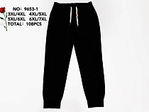 Штаны Спорт Style Nadezhda 9653-1 black - делук