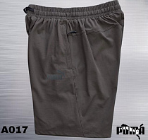 Шорты Azt AZ1038-A017 brown - делук