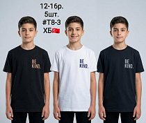 Футболка Amz T8-3 black-beige - делук