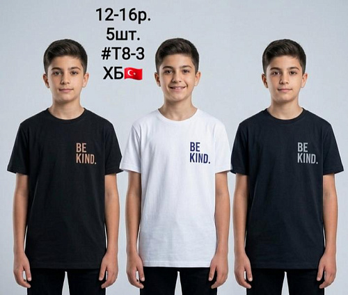 Футболка Amz T8-3 black-beige - делук