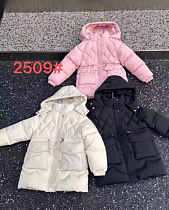 Куртка Farbique 2509 black - делук