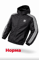 Ветровка Alex Clothes 14870 black - делук