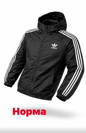 Ветровка Alex Clothes 14870 black - делук