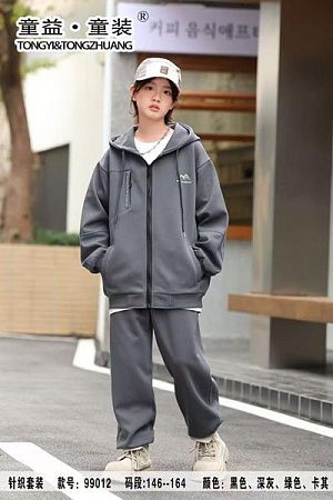 Костюм Спорт Delfinka 99012 grey - делук