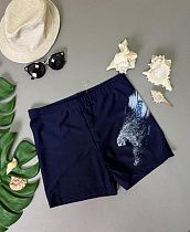 Плавки Dfk 2506 navy Плавки Dfk 2506 navy - делук