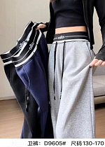 Штаны Спорт Meloria 9605 navy - делук