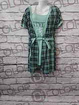Комплект Dicolor DC51 green - делук