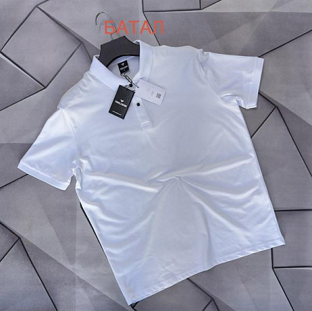 Футболка Rassul 66580 white - делук