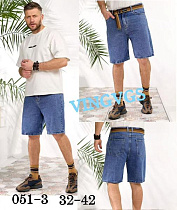Шорты Vingvgs 051-3 blue - делук