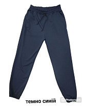 Штаны Спорт 4 Seasons A01-100 navy - делук
