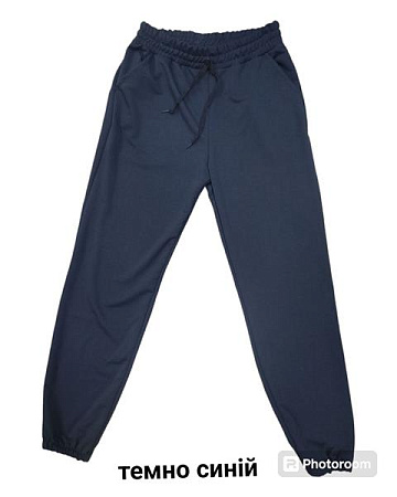 Штаны Спорт 4 Seasons A01-100 navy - делук