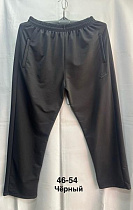 Штаны Спорт Minh MH1211 black - делук