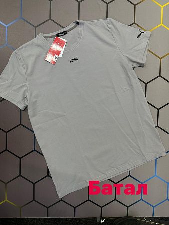 Футболка Alex Clothes 4124 grey - делук