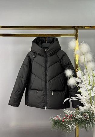 Куртка Delfinka CP62 black - делук