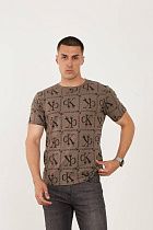 Футболка F.T.H F117 brown - делук