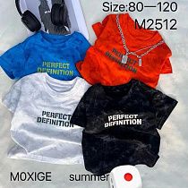 Футболка Фунтик M2512 blue - делук