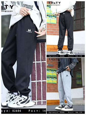 Штаны Спорт Delfinka 02606 black - делук