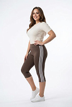 Бриджи Sport Style 066 brown - делук