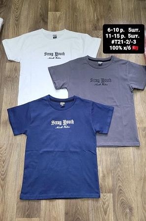 Футболка Amz T21-2 grey - делук