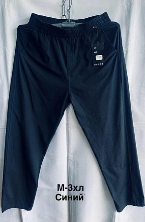 Штаны Спорт Minh 3007 navy - делук