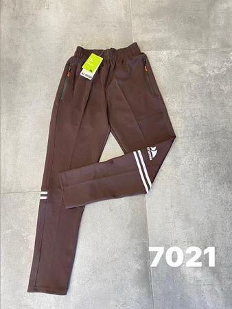 Штаны Спорт Ale-Ate 7021 brown - делук