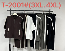 Костюм Saint Wish T2001 mix - делук