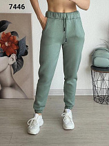 Штаны Спорт Fsn 7446 mint - делук
