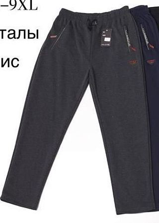 Штаны Спорт Hoan WK2070L grey - делук