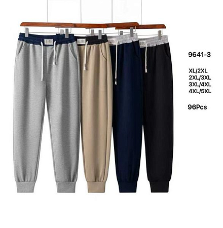 Штаны Спорт Style Nadezhda 9641-3 mix - делук