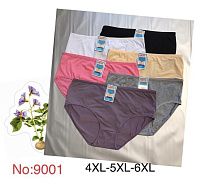 Трусы Redoor Y9001 mix (4XL-6XL) - делук