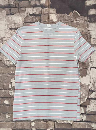 Футболка Samo 101-1 grey - делук