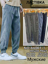 Штаны А6001-1 - делук