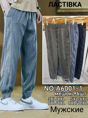 Штаны А6001-1 - делук