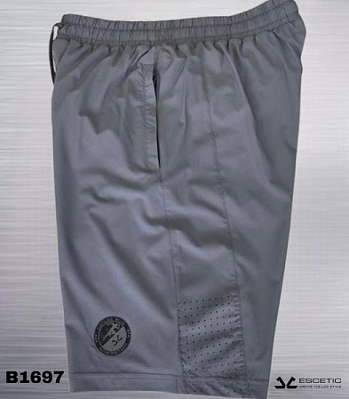 Шорты Azt AZ895-1697 grey - делук