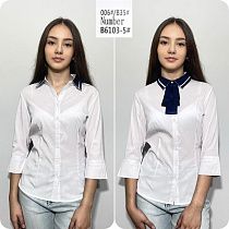 Рубашка Loyard B6103-5 white - делук